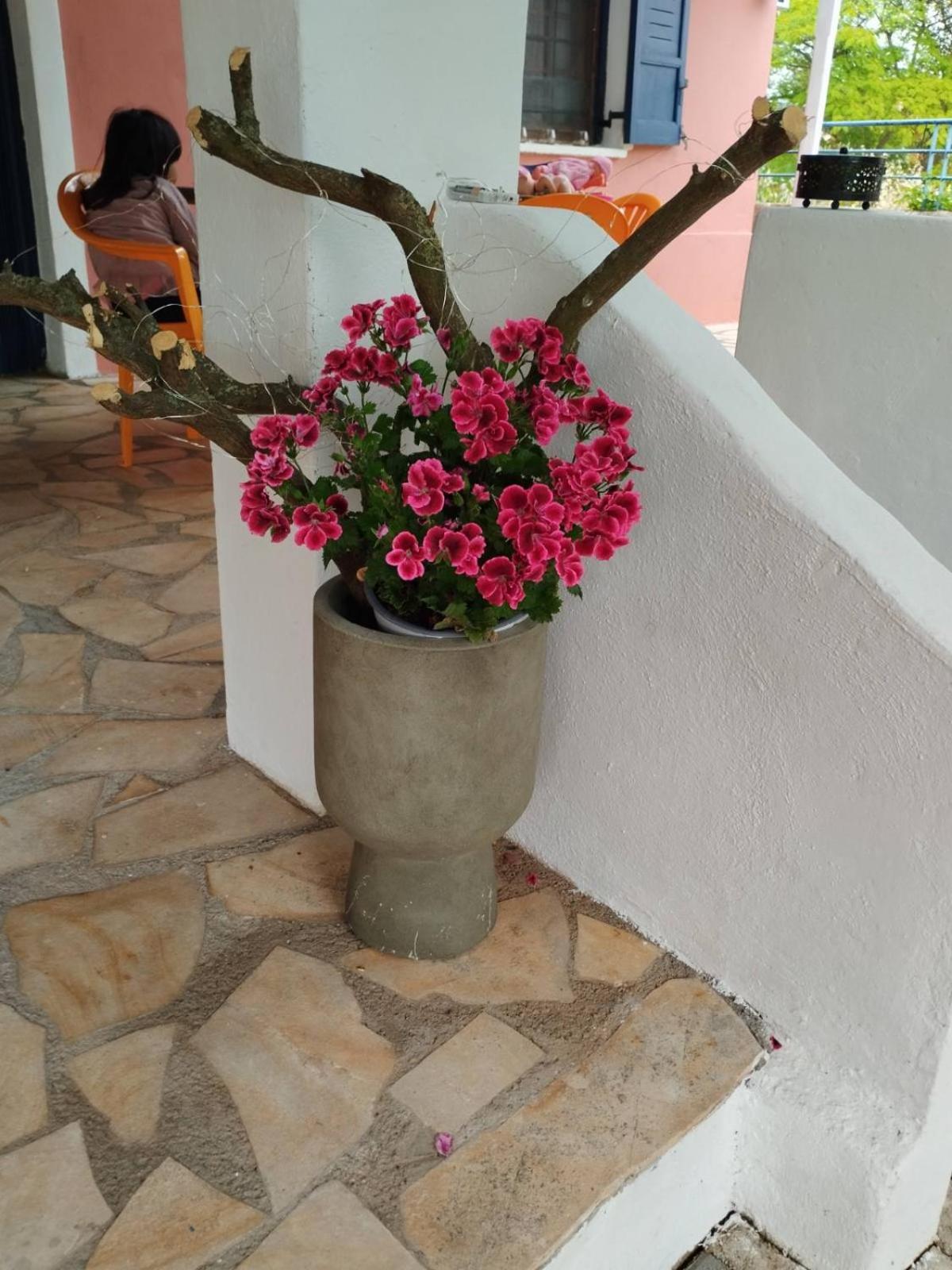 纳夫普利翁Floras House公寓 外观 照片