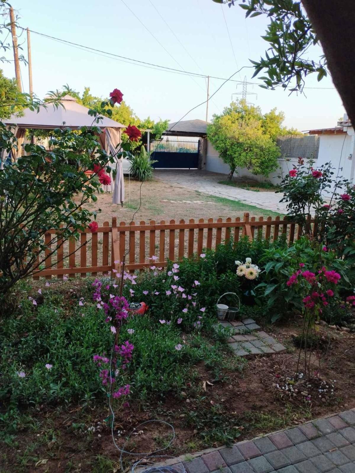 纳夫普利翁Floras House公寓 外观 照片