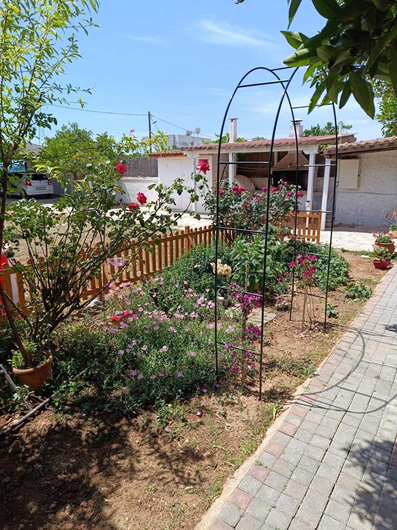 纳夫普利翁Floras House公寓 外观 照片